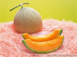 Last year auction held the most expensive bid on a pair of yubari melon summing the amount of 2.5million yen or $23,000.
