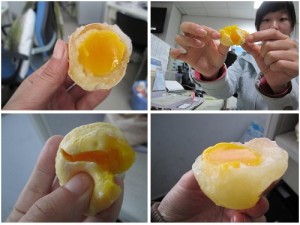 fake egg