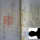 Visa Requirements for Visiting Relatives in Japan