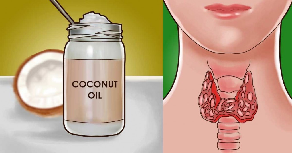 THE SURPRISING EFFECT COCONUT OIL HAS ON YOUR HEALTH