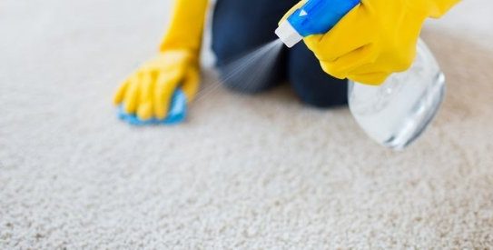 Tips for Carpet Cleaning