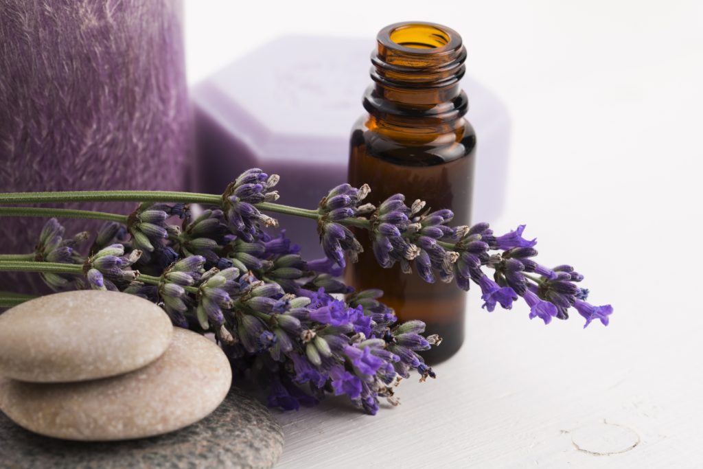 Lavender as the Most Common Used Essential Oil