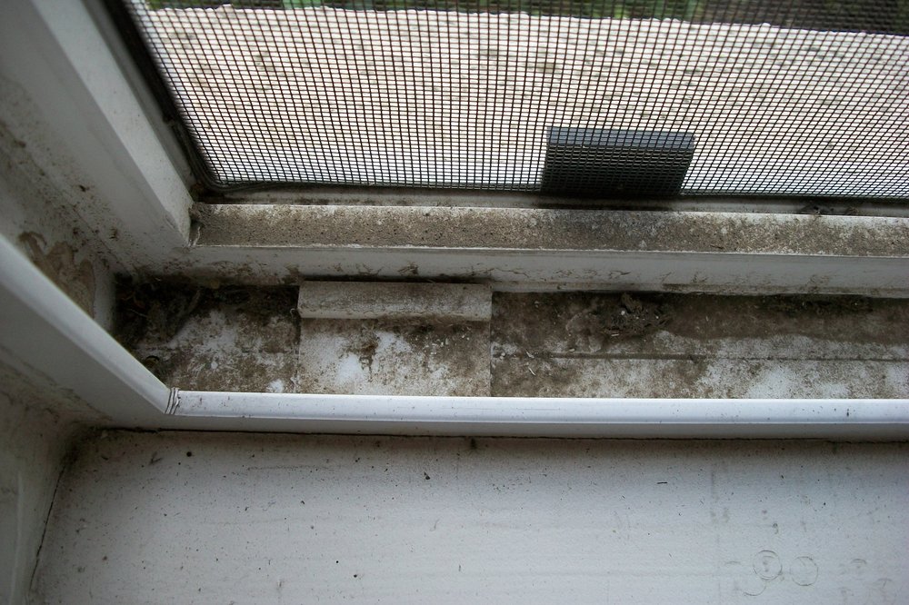 Good Housekeeping: Easy Way to Clean Window Tracks