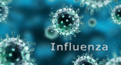 Updated news for influenza virus