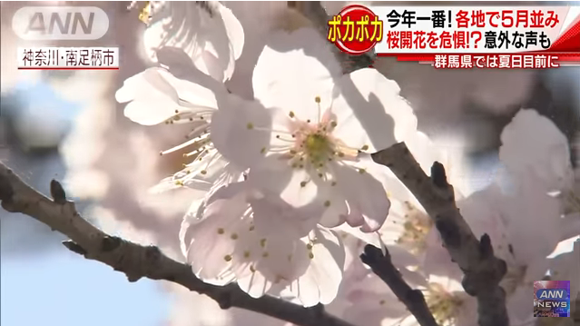 2018: Japan will experience the warmest season this year