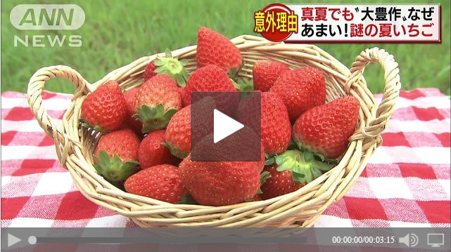 Crispy strawberries still available even if it is out of season