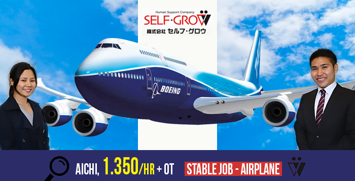 Aichi Stable JOB: Aircraft painting