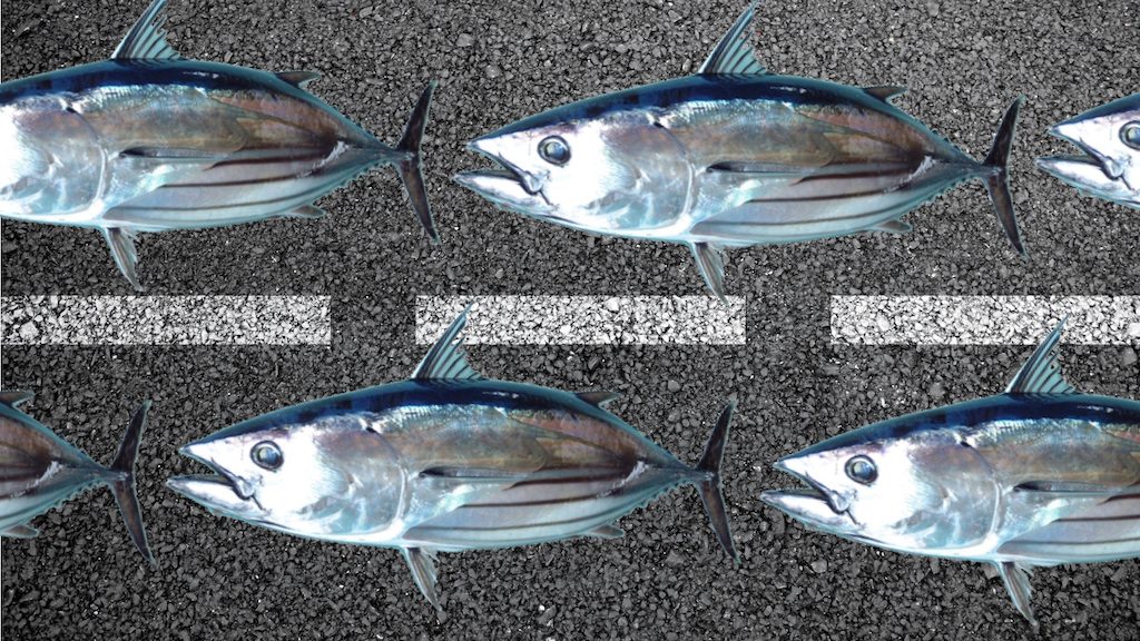 OSAKA: Fish on the Road