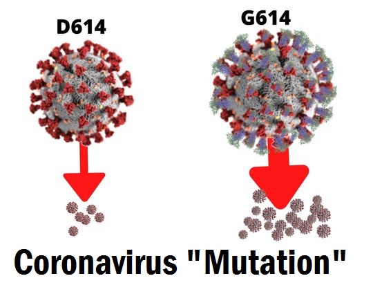 Coronavirus Mutation Infection: 5 ang positibo, kauna-unahang kaso ng mutant coronavirus strain sa Japan