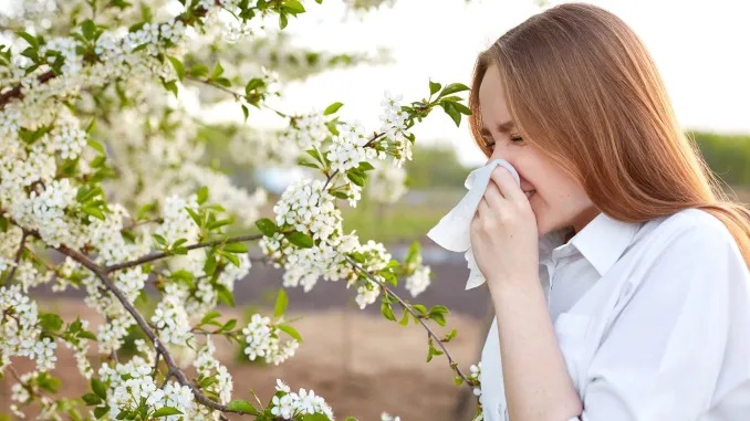 Pollen Allergy Symptoms can be Confused with Coronavirus
