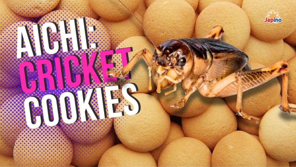 AICHI: Cricket Cookies