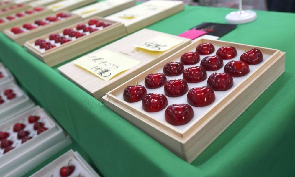 Box of 15 Cherished Cherries, Nakuha ng $3,500 sa Northern Japan Auction